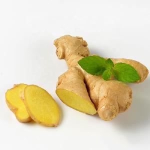 New China export fresh good dried yellow ginger on the market