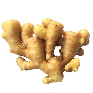 New China export fresh ginger good famer from 2018 year