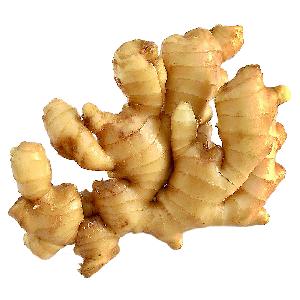 New crop best quality chinese supplier of dried ginger on sales