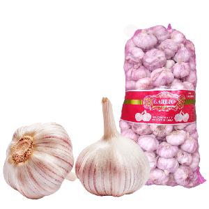 Fresh  big  purple   white   garlic  with 10kg mesh bag