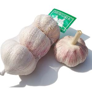 China Fresh Normal Red Pure White Garlic 3p Wholesale Price