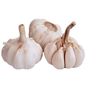 new normal white raw garlic chinese on the market