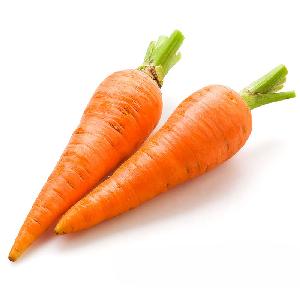 Chinese  New   Crop  Fresh Carrots Size L For Sale