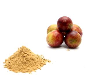 Organic Camu Camu Pulp Powder Available from Top Rated Supplier
