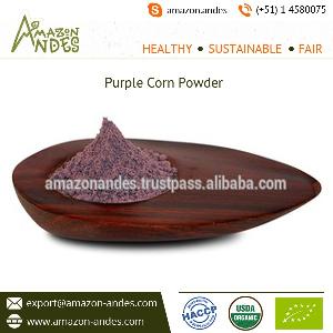 Competitive Price 100% Organic Natural  Purple   Corn  for Sale