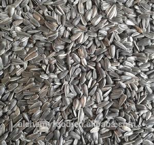 Chinese white sunflower seeds/ hulled sunflower seeds/ salting roasting sunflower seeds