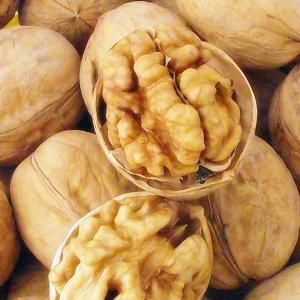china Xinjiang nuts food ukraine 2018 walnut nuts and dried fruit in shell price