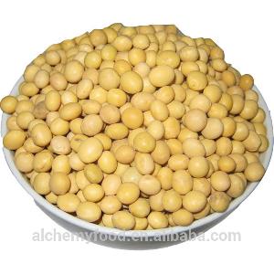 chinese agriculture companies soy bean