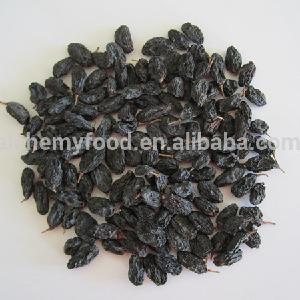 wholesale xinjiang raisin and  turkish  sultanas  raisins 