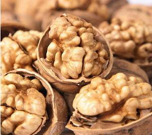 dry fruit  walnut   ukraine   walnut  and  walnut  color
