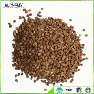agro food company wholesale best quality roasted buckwheat kernel
