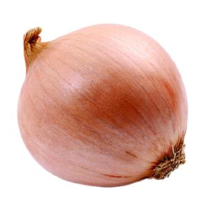 china fresh  price preferential benefit yellow onion for  buyers