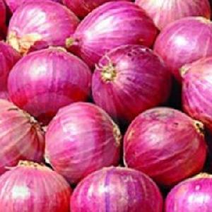 INDIAN RED ONIONS