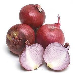 40-50 mm INDIAN RED ONIONS