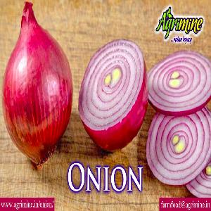50-70 mm INDIAN RED ONION WHOLE SALE