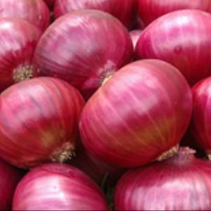 40-50 BELLARY RED ONIONS