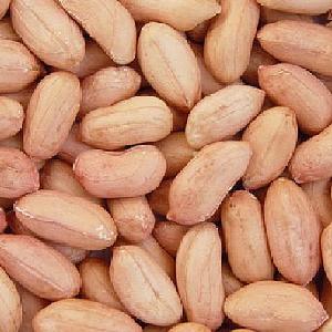 SELECTIVE PEANUT SUPPLIERS