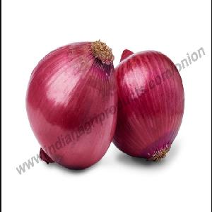 HERBAL VALUE FRESH RED ONIONS