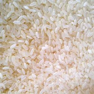 Short Grain White Ponni Rice