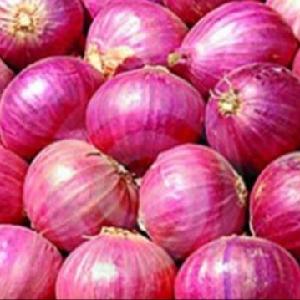 INDIAN MUMBAI ONION