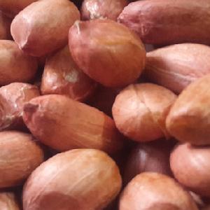 Java peanut with best  Indian   Price 