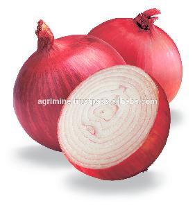 Fresh red big onion in bulk