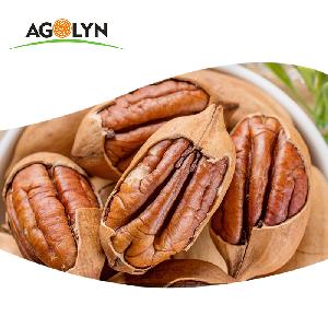Bulk Wholesale Tasty organic roasted Pecan Nuts Kernels price