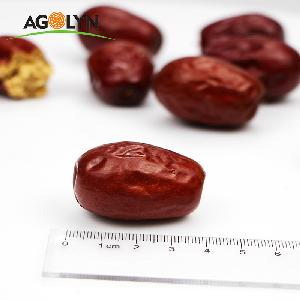 Agolyn wholesale Anti-aging sweet red fresh dates