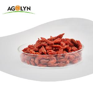 Wholesale Chinese Dried organic Red Gojiberry for sale