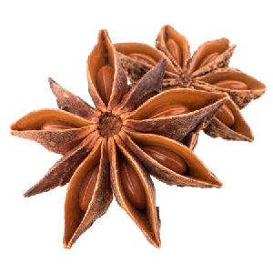 Star Anise From Vietnam