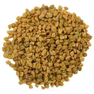 Top Grade Fenugreek Seed from Reliable Price