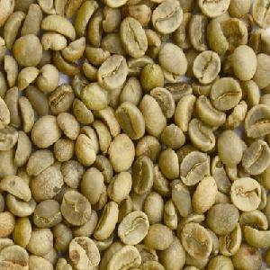 Green Coffee Bean 100% Arabica Catimor Black Honey