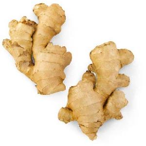 New Crop fresh wholesale Ginger,100g/150g/200g/250g/300g, China/chinese mature Ginger supplier