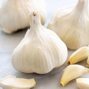 5.5 cm Factory Pure White Fresh Garlic Price/ bulk garlic for sale/ garlic from China