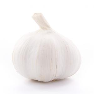 White Galic Purple Garlic Red Garlic
