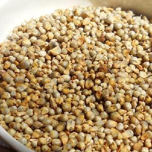 superlative quality pearl millet