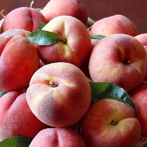 Nectarine  Fresh   Peach es