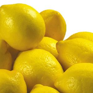 fresh lemon Best Quality