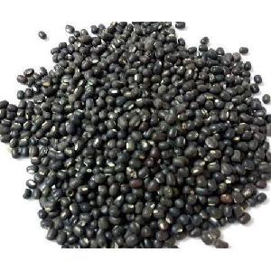 Good Pure Organic Black mung bean