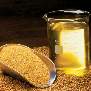 Cooking Refined Soybeans Oil/100 % pure soya beans oil