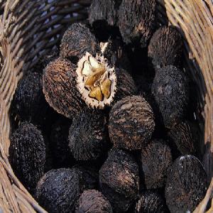 Black Walnut for export