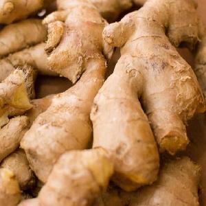 Wholesale Canadian organic ginger in Fresh Ginger/ Peeled Ginger/Dry ginger