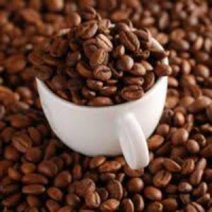 EUROPEAN GREEN ROBUSTA COFFEE BEANS FOR SELL