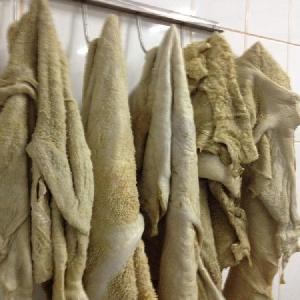 Frozen beef tripe, frozen cow stomach, beef tripes cleaned for sale