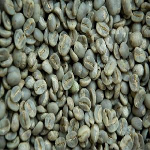 High Quality Arabica Coffee Green for sale