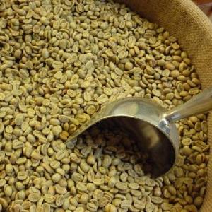 Arabica Coffee Beans/ green beans coffee