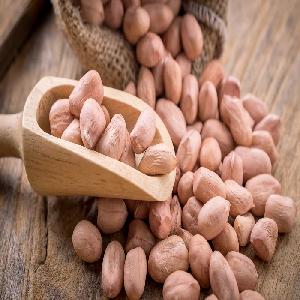 Blanched Peanuts Exporter /Roasted Peanuts Exporter