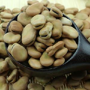Quality Fava Beans for sale