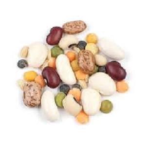 Pulses Kidney Beans, Red Lentil