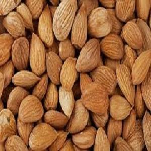 Free Sample Kernels Almond Wholesale Almond Nuts Price